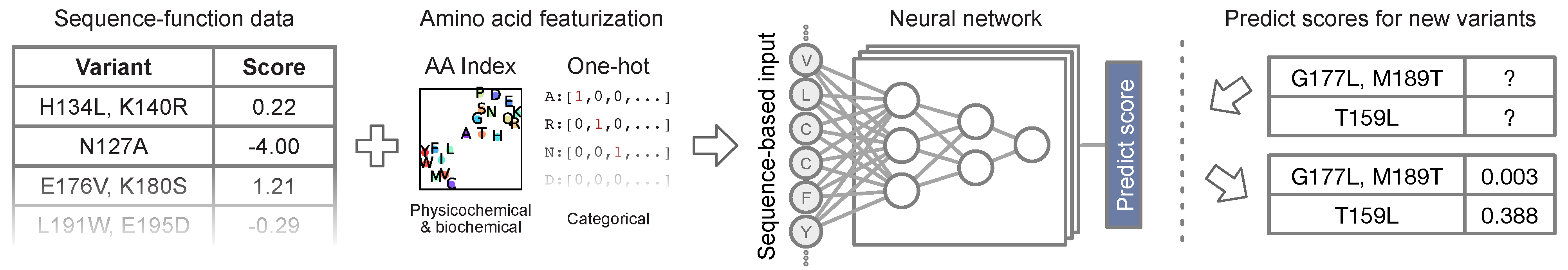 Predicting protein variant effects